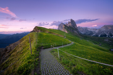 Wall Mural - hiking path on seceda mountain range at sunset with yellow flowers blooming in the foreground at dus