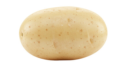 Poster - Detailed close up of a single raw potato on a black and color background