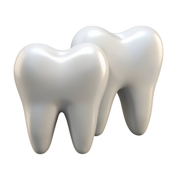 Two realistic white teeth isolated on transparent background