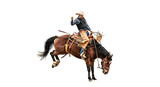 An American cowboy on a bucking bronco