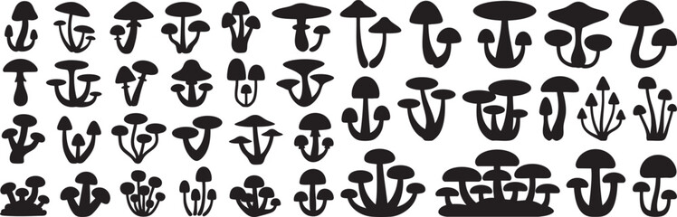 Poster - Detailed Mushroom Silhouette Vector Art Collection A Diverse Set of Fungi Illustrations for Botanical Studies and Natural History Projects, Isolated on Transparent Backdrop