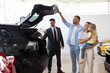 © New Africa - Salesman showing new car to happy family in salon