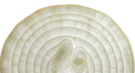 Poster - Translucent layers of a sliced white onion create a circular pattern