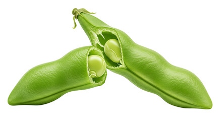 Poster - Two fresh green pea pods with visible peas in a close up studio shot