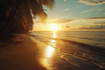 Poster - Tropical sea sunset illuminates the serene beach and palm trees, Beautiful landscape with tropical sea sunset on the beach, timelapse