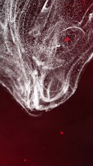 Poster - Animation of moving glowing lights and waves over black background
