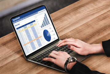 Poster - Spreadsheet document information financial startup concept. data and graphs in spreadsheet documents for online analysis project dashboard accounting digital snugly