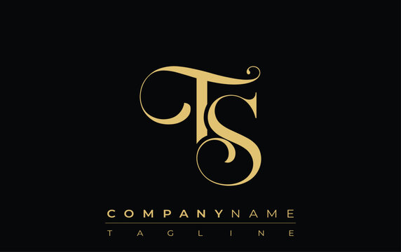 TS Abstract Creative Jewelry Logo. A stylish logo featuring golden monogram initials in an elegant and modern typography, perfect for branding
