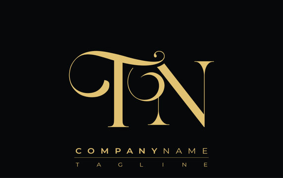 TN Abstract Creative Jewelry Logo. A stylish logo featuring golden monogram initials in an elegant and modern typography, perfect for branding