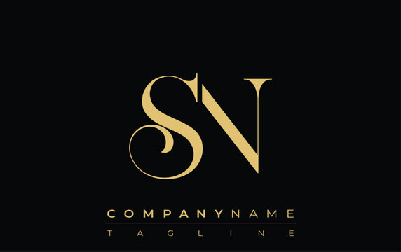 SN Abstract Creative Jewelry Logo. A stylish logo featuring golden monogram initials in an elegant and modern typography, perfect for branding