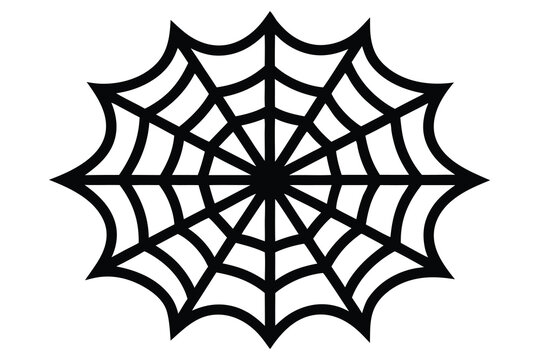 simple spider web vector illustration 