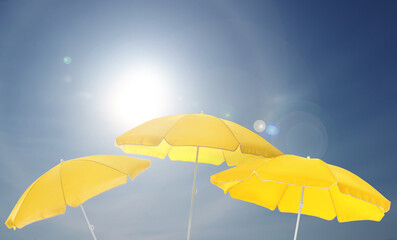 Wall Mural - yellow beach umbrellas against blue sky on sunny day