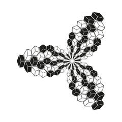 Poster - abstract fractal pattern. geometric flower design. interconnected organic shapes. vector illustratio