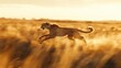 © syauqi - Golden Hour Cheetah: A Majestic Sprint Across the Savannah