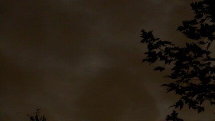 Wall Mural - a full moon and clouds streak across the night sky in time-lapse motion.