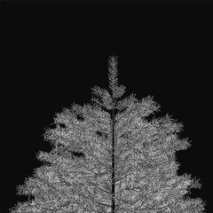 Poster - A black and white Christmas tree illustration stands out against a dark background, featuring simple yet elegant line art. The minimalist design highlights festive details like branches and ornaments.