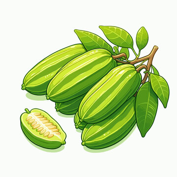 Vibrant graphic illustration of several tropical fruits, including a sliced section, set against a bright white background.