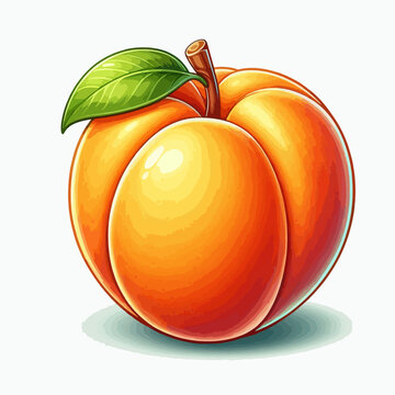 Detailed graphic illustration of a single, round peach with a stem and leaf, set against a white background.  The peach displays a realistic,  vibrant orange hue.