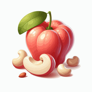 Digital illustration of a pink fruit, likely a rose , with cashew nuts and leaves, displayed against a white background.