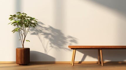 Poster - Minimalist interior featuring a wooden bench and a potted plant casting shadows on a wall