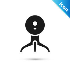 Poster - Grey Web camera icon isolated on white background. Chat camera. Webcam icon. Vector Illustration