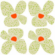 © Nadine Greeff - Flower illustration with soft green patterns and bright orange centres