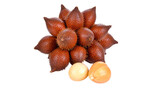 Fresh ripe salak fruit is a delicious and healthy tropical fruit, isolated on white background.