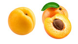 ripe apricots isolated on white background