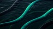 © Ann Studio - Abstract image of multiple curving tubes in dark water. The tubes are textured and colored in shades of green and black.