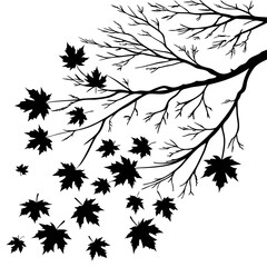 Poster - A black and white illustration of a tree branch with falling maple leaves isolated on white background, representing the autumn season