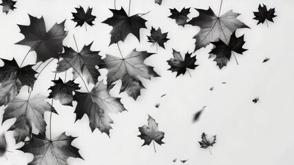 Poster - A photo of a collection of leaves in shades of gray, suitable for use as a background or texture