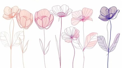 Poster - A collection of colorful flowers on a clean white surface, perfect for backgrounds or illustrations