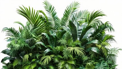 Poster - A potted plant filled with lush green leaves