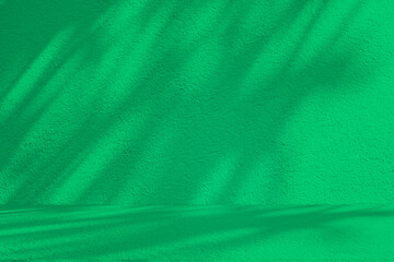 Poster - Wall interior background, studio and backdrops show products. with leaf shadow from window color green and white. background for text insertion and presentation of product	
