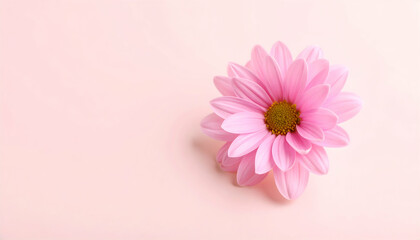 Poster - Pink flower on soft pastel background