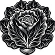 © BAPJAN IT - Intricate Black and White Illustration of a Cabbage  A Detailed Botanical Drawing, Perfect for Culinary, Farm-to-Table, or Vintage Designs
