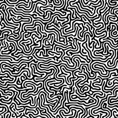 Poster - Abstract black and white organic wavy lines creating seamless pattern. Flowing curved shapes form continuous maze-like design for modern surface decoration.