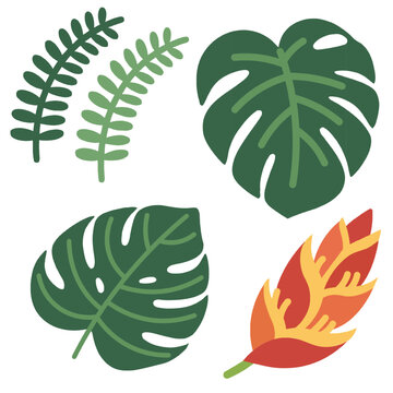 Tropical Exotic Leaves Flat Vector Set, Including Monstera, Fern, and Heliconia. Vector Illustration. Design Element. Clip art. Suitable for artwork design. Editable for any design. 