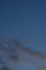 Wall Mural - half moon floating on blue sky in twilight background 