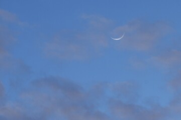 Wall Mural - half moon floating on blue sky in twilight background 