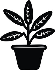 Fototapete - Stylized black silhouette of a potted plant with distinctive leaf veining on a white background