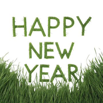 New Year Green Grass Text illustration