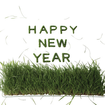 New Year Green Grass Text illustration