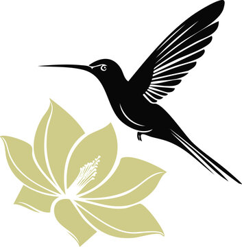 Elegant Hummingbird Birds Silhouette Vector EPS A Stunning Floral Design Illustration