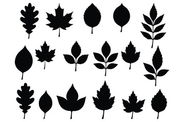 Aufkleber - Collection of black leaf silhouettes isolated on white background