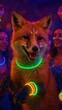 © Rawpixel.com - Vibrant fox glowing party
