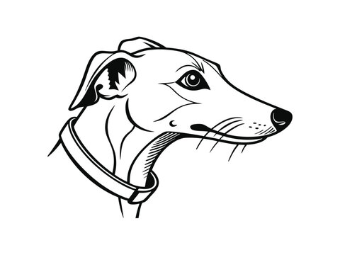 Whippet dog silhouette vector illustration, pet clipart, black and white animal shape