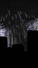 Poster - Animation of white christmas and new year fireworks in night sky over cityscape