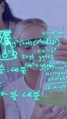 Poster - Animation of equations and data processing over diverse school children