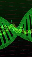 Poster - Animation of zigzag lines over string of data processing on black background